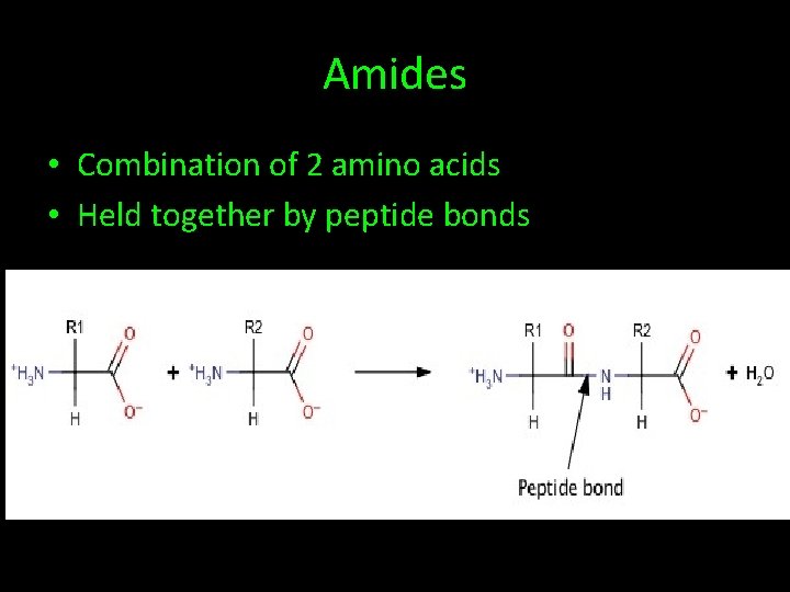 Amides • Combination of 2 amino acids • Held together by peptide bonds 