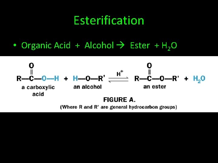 Esterification • Organic Acid + Alcohol Ester + H 2 O 