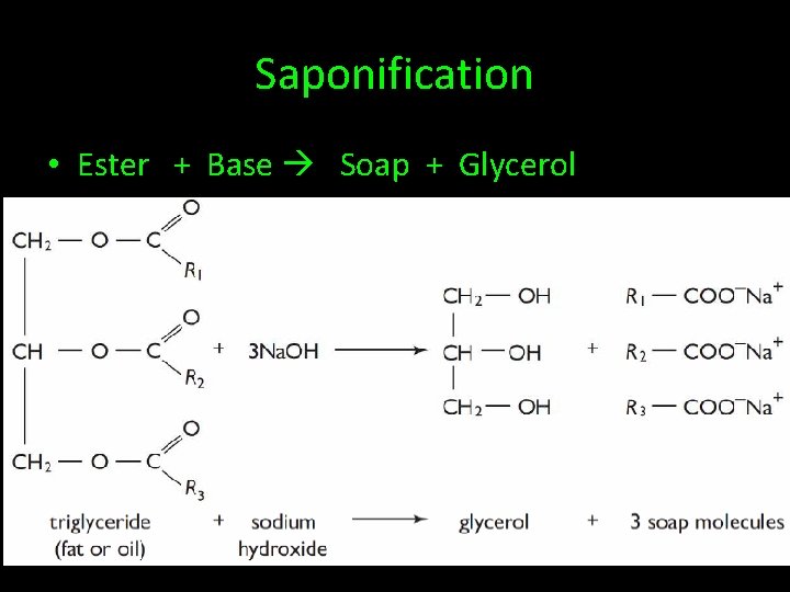 Saponification • Ester + Base Soap + Glycerol 