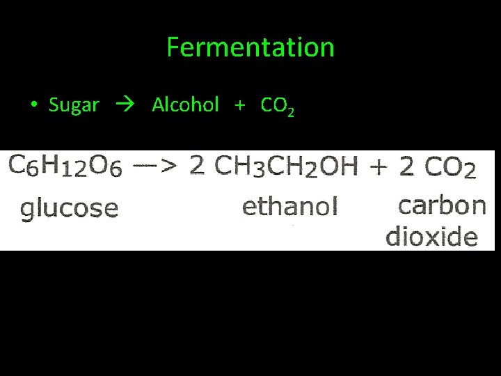 Fermentation • Sugar Alcohol + CO 2 