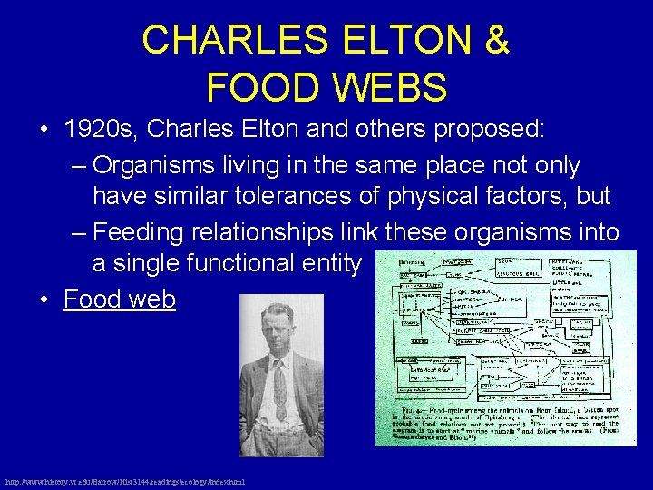 CHARLES ELTON & FOOD WEBS • 1920 s, Charles Elton and others proposed: – CHARLES ELTON & FOOD WEBS • 1920 s, Charles Elton and others proposed: –
