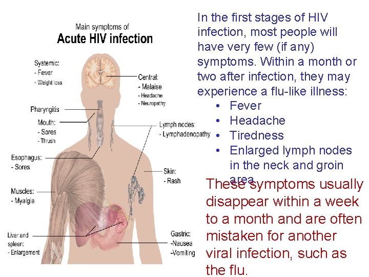 In the first stages of HIV infection, most people will have very few (if