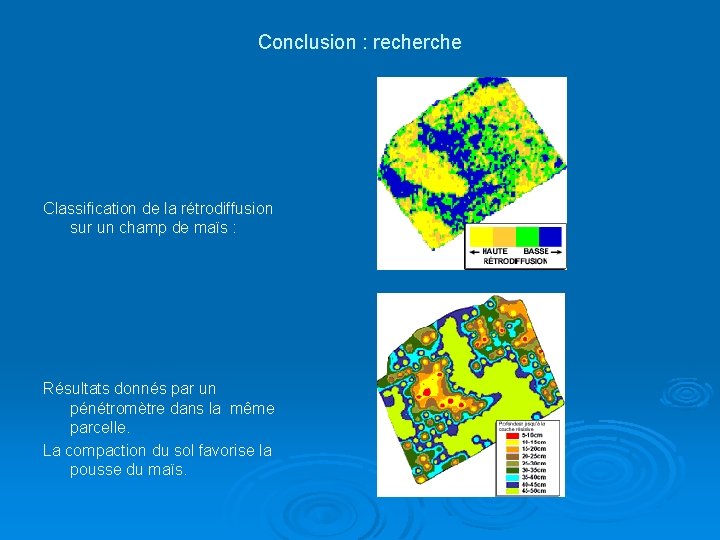 Conclusion : recherche Classification de la rétrodiffusion sur un champ de maïs : Résultats