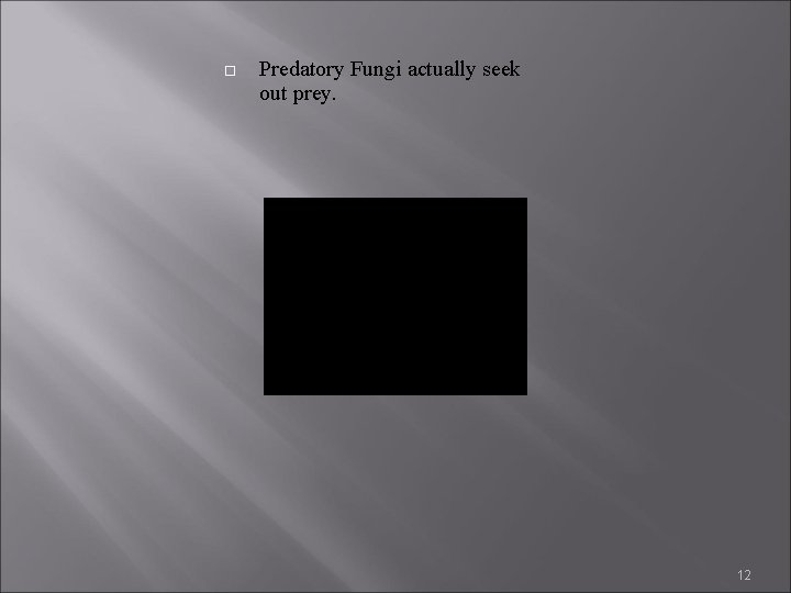 Predatory Fungi actually seek out prey. 12 Predatory Fungi actually seek out prey. 12