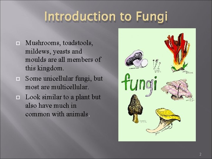 Introduction to Fungi Mushrooms, toadstools, mildews, yeasts and moulds are all members of this Introduction to Fungi Mushrooms, toadstools, mildews, yeasts and moulds are all members of this