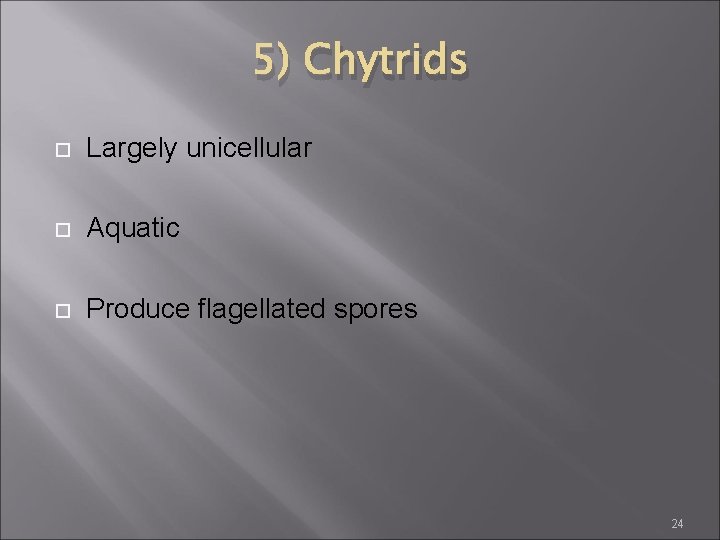 5) Chytrids Largely unicellular Aquatic Produce flagellated spores 24 5) Chytrids Largely unicellular Aquatic Produce flagellated spores 24
