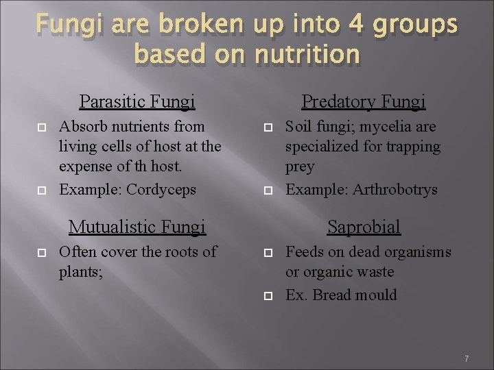 Fungi are broken up into 4 groups based on nutrition Parasitic Fungi Absorb nutrients Fungi are broken up into 4 groups based on nutrition Parasitic Fungi Absorb nutrients