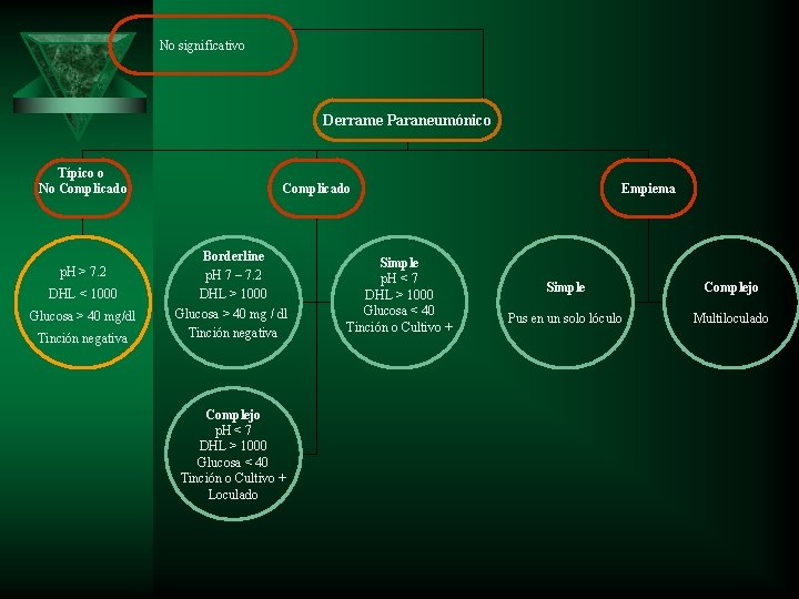 No significativo Derrame Paraneumónico Típico o No Complicado p. H > 7. 2 DHL