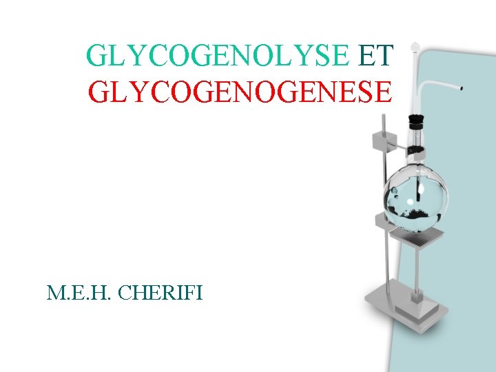 GLYCOGENOLYSE ET GLYCOGENESE M. E. H. CHERIFI 