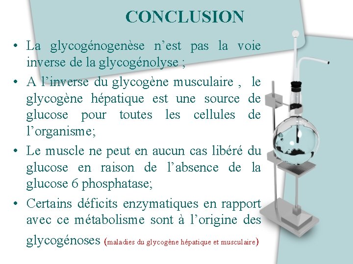 CONCLUSION • La glycogénogenèse n’est pas la voie inverse de la glycogénolyse ; •