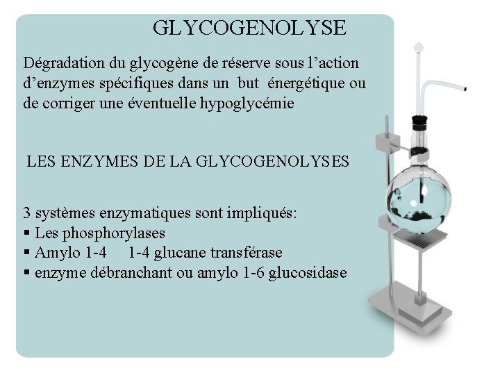 GLYCOGENOLYSE Dégradation du glycogène de réserve sous l’action d’enzymes spécifiques dans un but énergétique