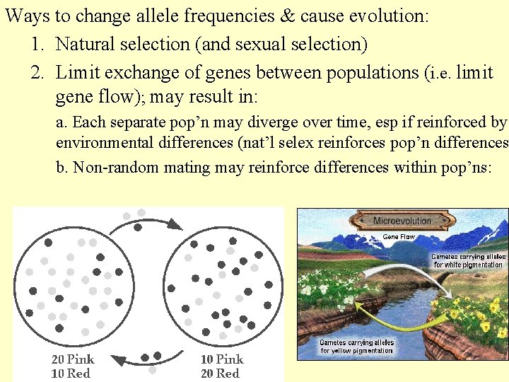 For natural selection to work traits must vary