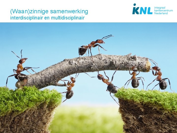 (Waan)zinnige samenwerking interdisciplinair en multidisciplinair 