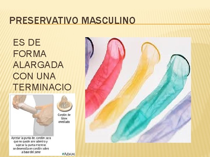 PRESERVATIVO MASCULINO ES DE FORMA ALARGADA CON UNA TERMINACIO N OVALADA 