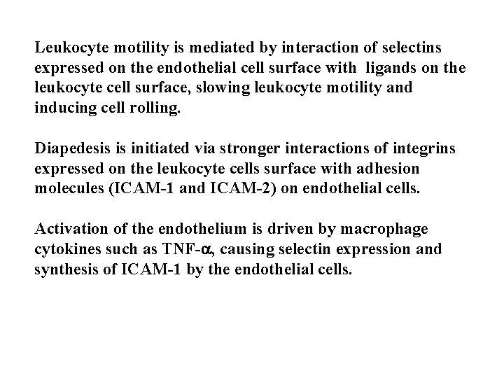Leukocyte motility is mediated by interaction of selectins expressed on the endothelial cell surface