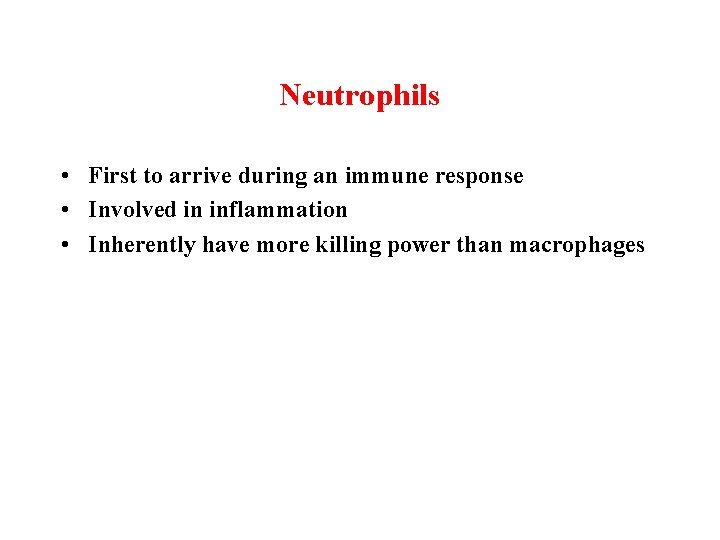 Neutrophils • First to arrive during an immune response • Involved in inflammation •