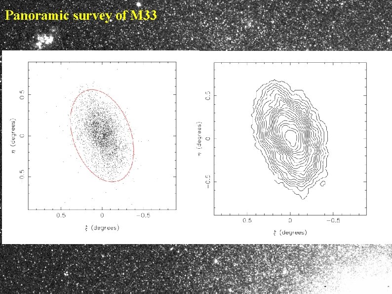 Panoramic survey of M 33 