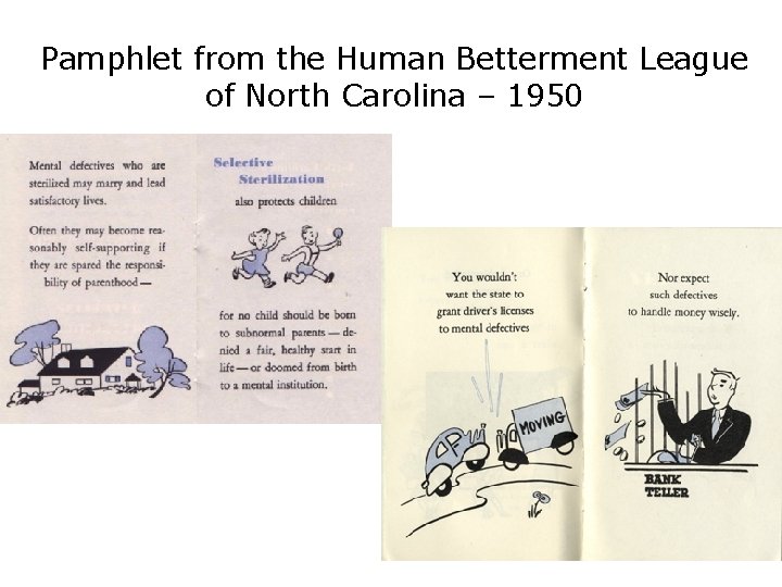 Pamphlet from the Human Betterment League of North Carolina – 1950 