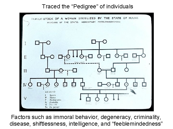 Traced the “Pedigree” of individuals Factors such as immoral behavior, degeneracy, criminality, disease, shiftlessness,