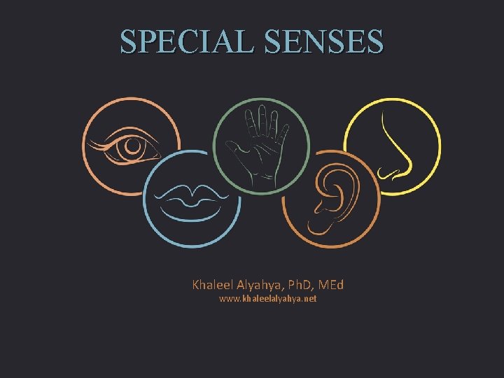 SPECIAL SENSES Khaleel Alyahya, Ph. D, MEd www. khaleelalyahya. net 