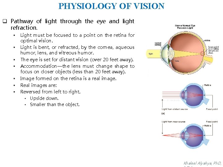 PHYSIOLOGY OF VISION q Pathway of light through the eye and light refraction. §