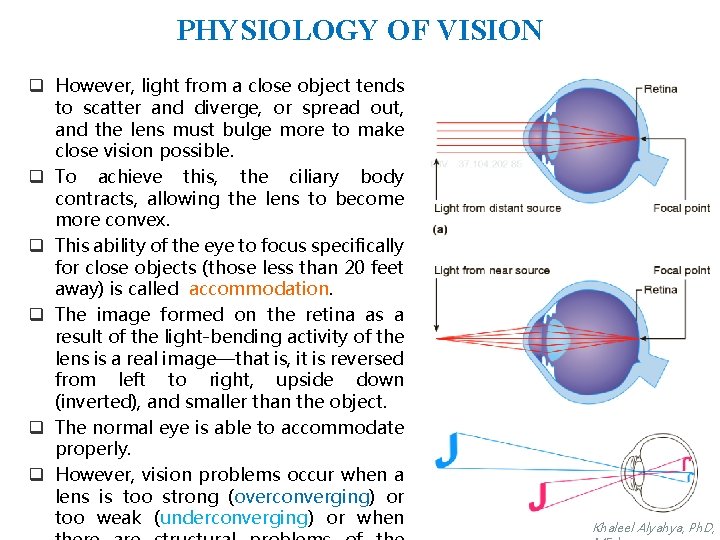 PHYSIOLOGY OF VISION q However, light from a close object tends to scatter and
