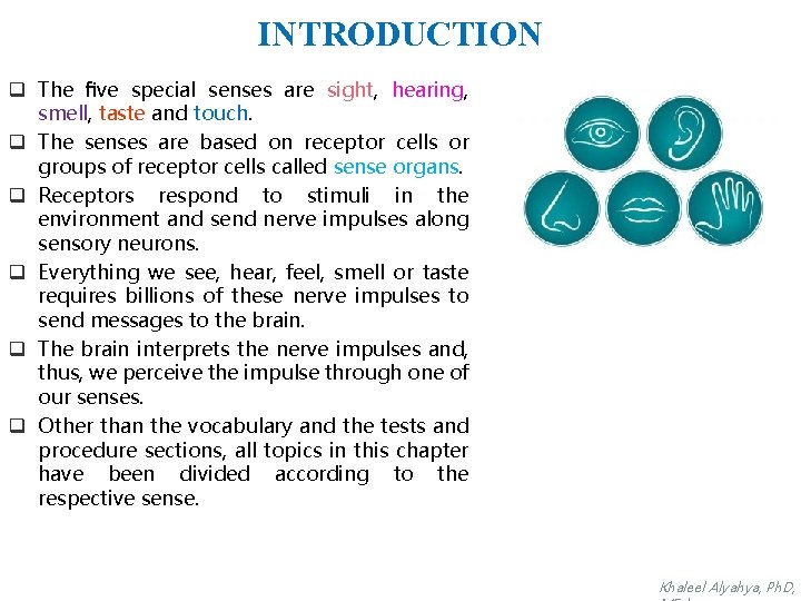 INTRODUCTION q The ﬁve special senses are sight, hearing, smell, taste and touch. q