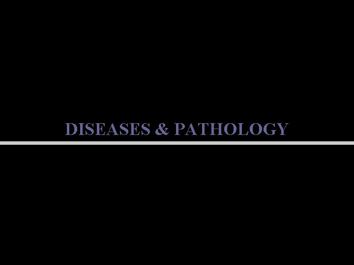 DISEASES & PATHOLOGY 