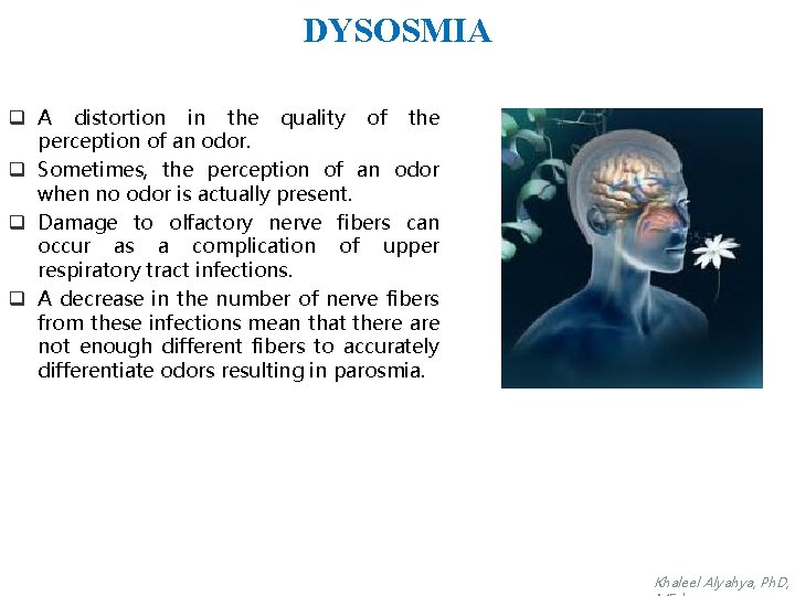 DYSOSMIA q A distortion in the quality of the perception of an odor. q