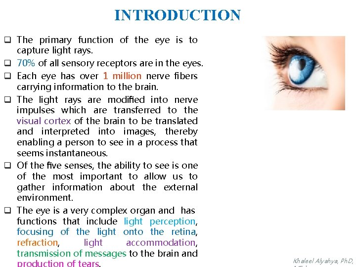 INTRODUCTION q The primary function of the eye is to capture light rays. q