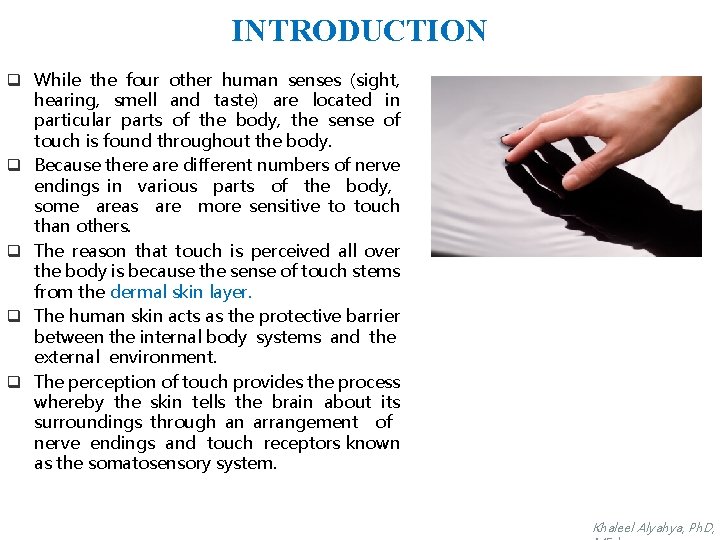 INTRODUCTION q While the four other human senses (sight, hearing, smell and taste) are