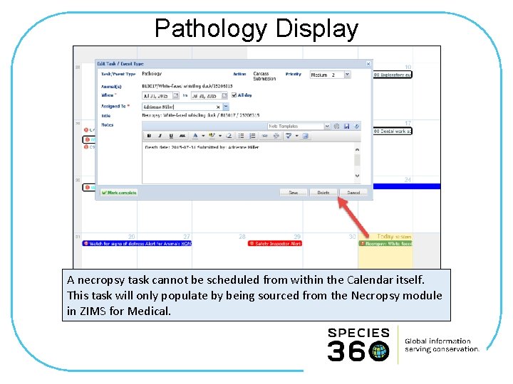 Pathology Display A necropsy task cannot be scheduled from within the Calendar itself. This