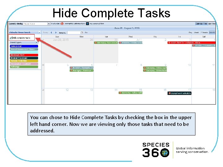 Hide Complete Tasks You can chose to Hide Complete Tasks by checking the box