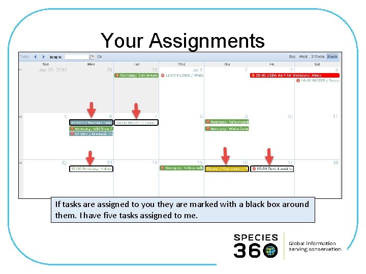 Your Assignments If tasks are assigned to you they are marked with a black