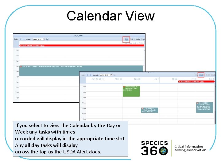 Calendar View If you select to view the Calendar by the Day or Week