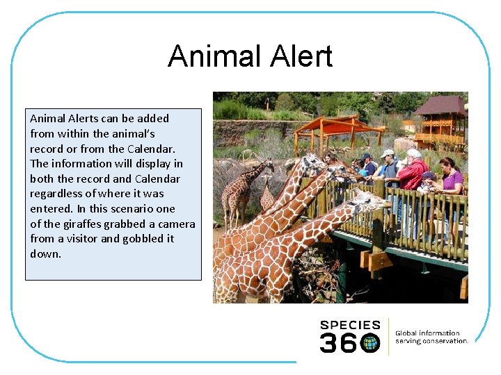 Animal Alerts can be added from within the animal’s record or from the Calendar.
