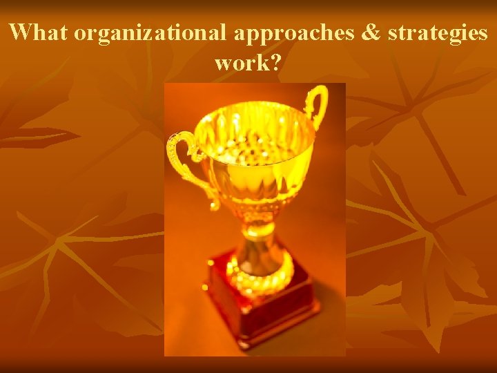 What organizational approaches & strategies work? What organizational approaches & strategies work?