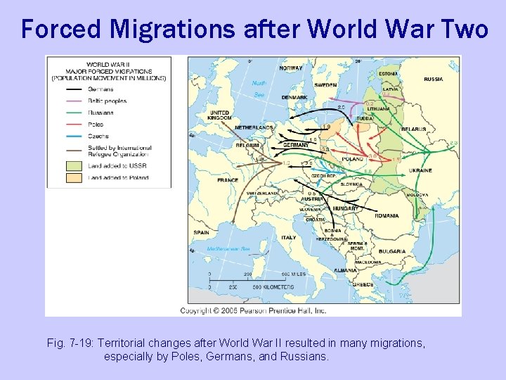 Forced Migrations after World War Two Fig. 7 -19: Territorial changes after World War