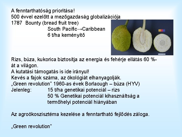 A fenntarthatóság prioritása! 500 évvel ezelőtt a mezőgazdaság globalizációja 1787 Bounty (bread fruit tree)