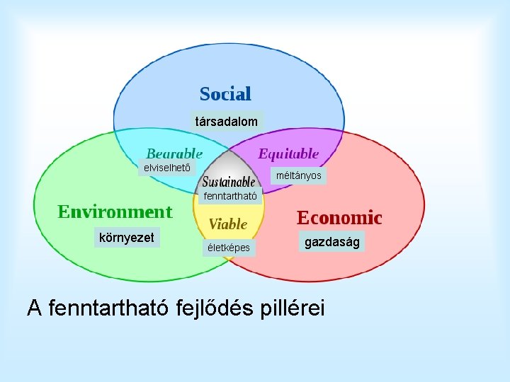 társadalom elviselhető méltányos fenntartható környezet életképes gazdaság A fenntartható fejlődés pillérei 