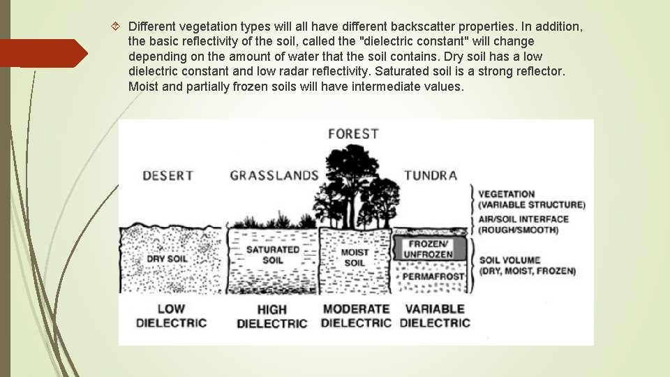  Different vegetation types will all have different backscatter properties. In addition, the basic