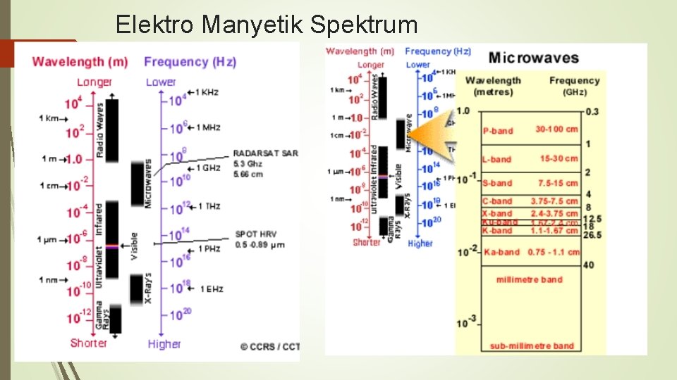Elektro Manyetik Spektrum 
