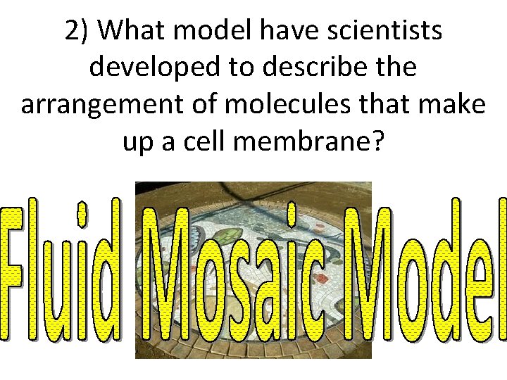 2) What model have scientists developed to describe the arrangement of molecules that make