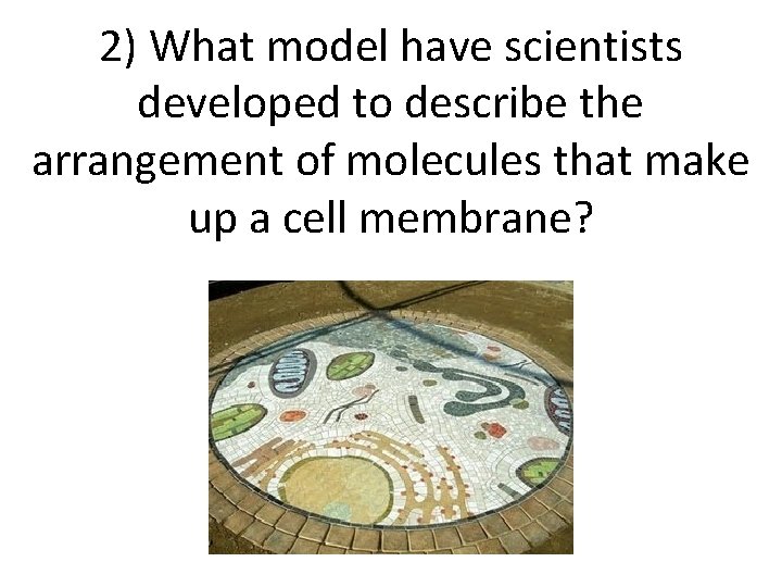 2) What model have scientists developed to describe the arrangement of molecules that make