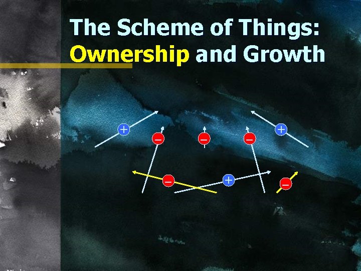 The Scheme of Things: Ownership and Growth + – – + + – 