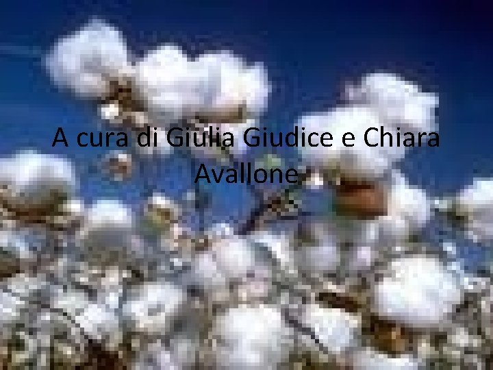 A cura di Giulia Giudice e Chiara Avallone 