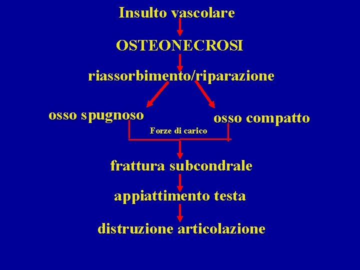 Insulto vascolare OSTEONECROSI riassorbimento/riparazione osso spugnoso Forze di carico osso compatto frattura subcondrale appiattimento