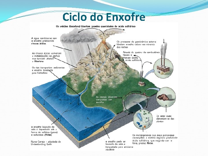 Ciclo do Enxofre 