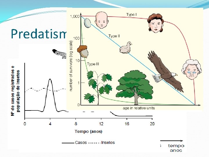 Predatismo e Parasitismo 