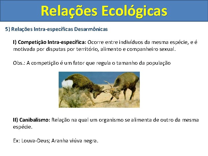 Relações Ecológicas 5) Relações Intra-específicas Desarmônicas I) Competição Intra-específica: Ocorre entre indivíduos da mesma